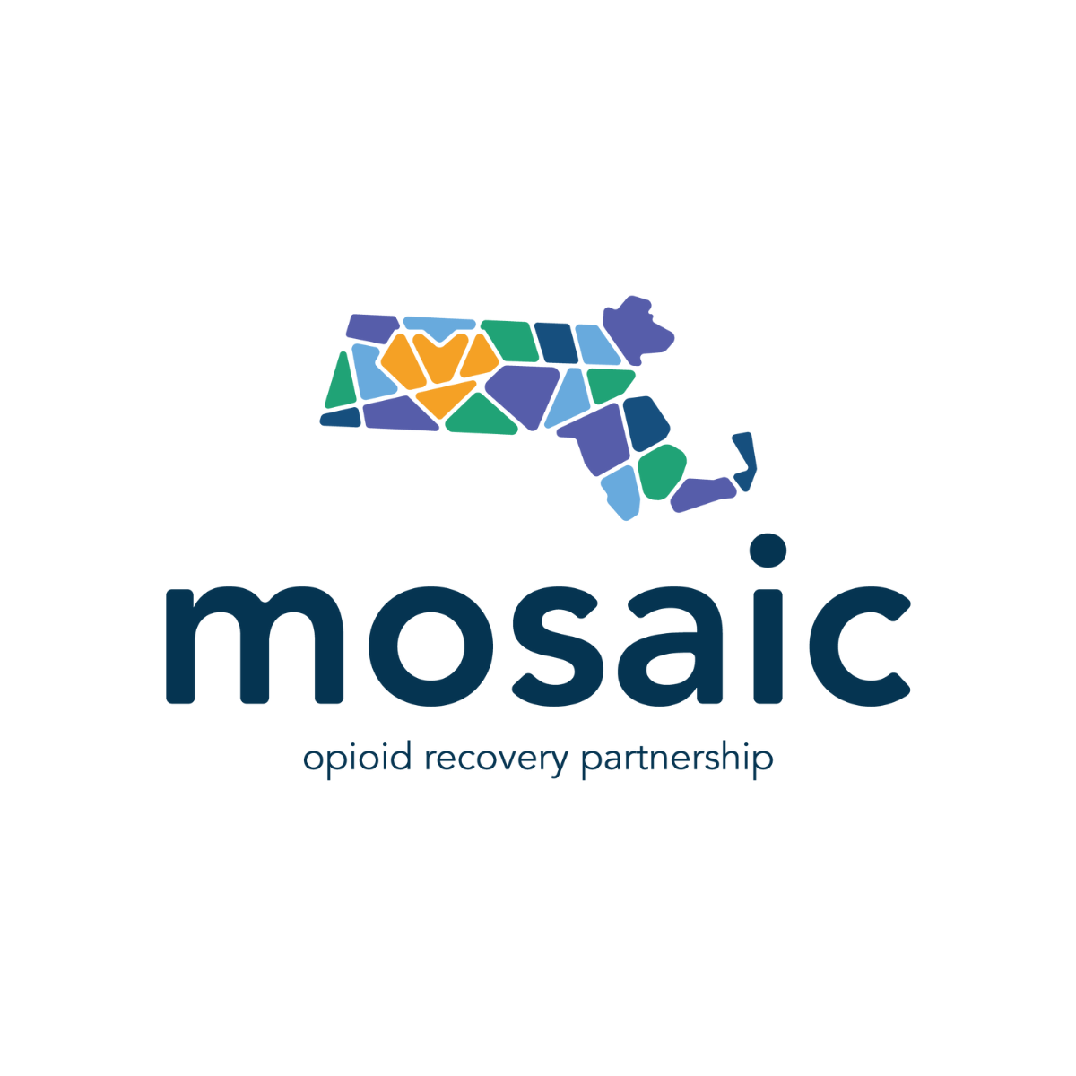 Mosaic Municipal Training and Technical Assistance (TTA)