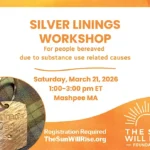 Silver-Linings-1